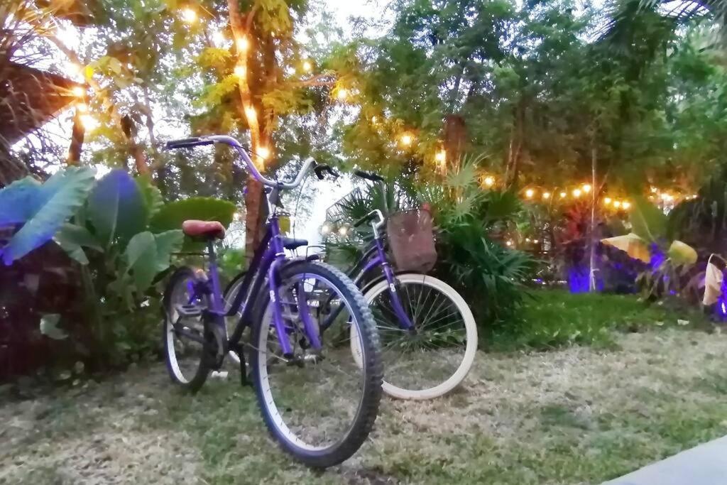 Dk31 Wifi 600Mb, Cheap Scooters By Moikkarentals Tulum Esterno foto